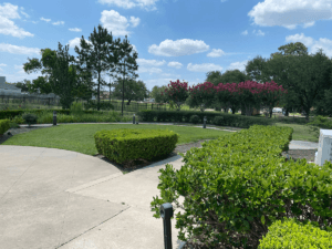 Motivational Interviewing